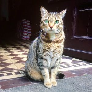 Meet your Posher